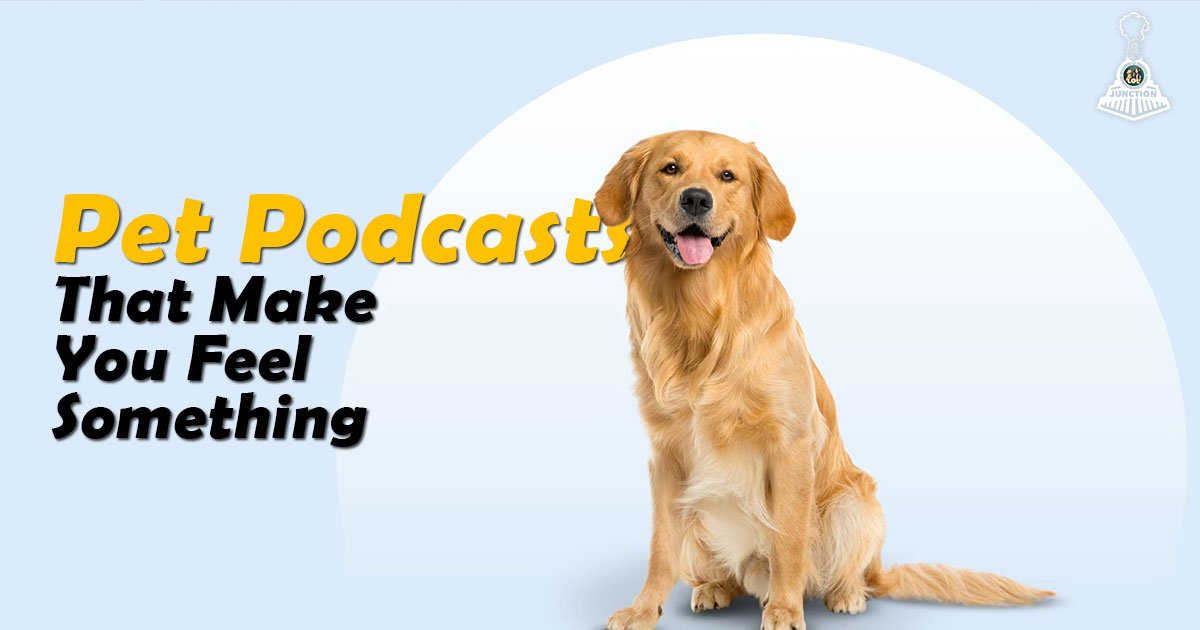 Pet Podcasts That Make You Feel Something