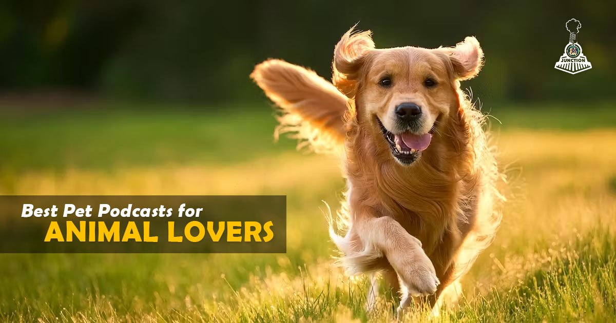 Best Pet Podcasts for Animal Lovers